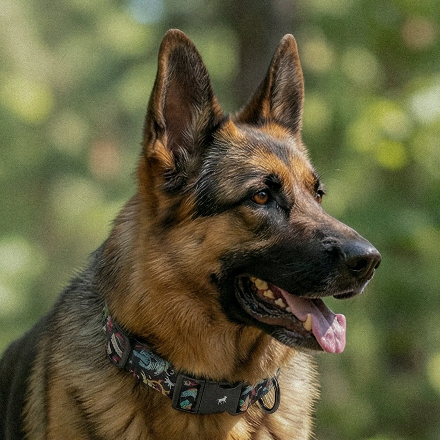 Rebel One - Pattern Collar