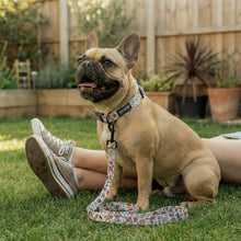Rebel Two - Pattern Collar