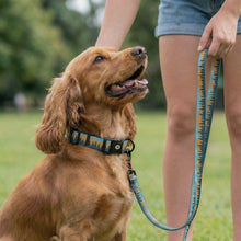 Rustic Pine - Pattern Collar