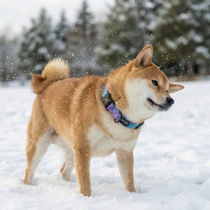 Super Nova - Pattern Collar