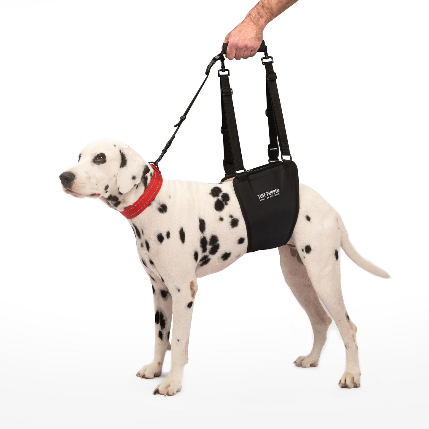 Hip Lifting - Sling Harness