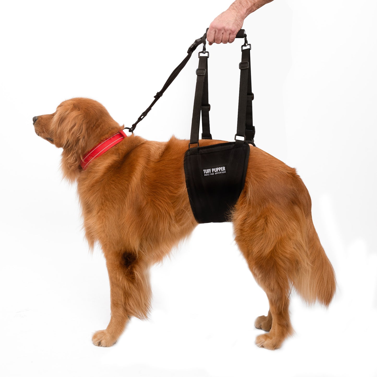 Hip Lifting - Sling Harness