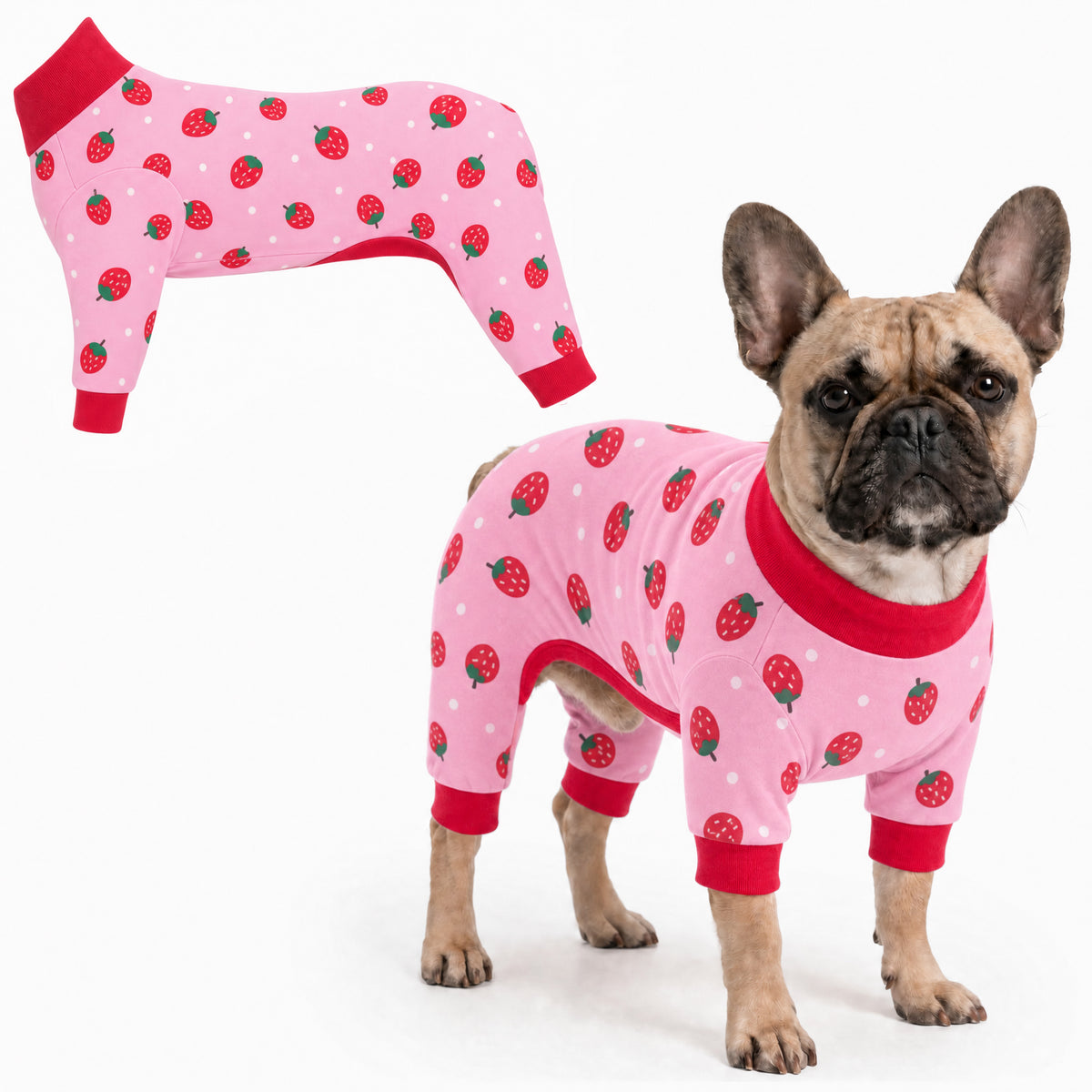 Dog wearing Strawberry Pop Comfort Pajamas, size Medium, full body coverage from chest to legs
