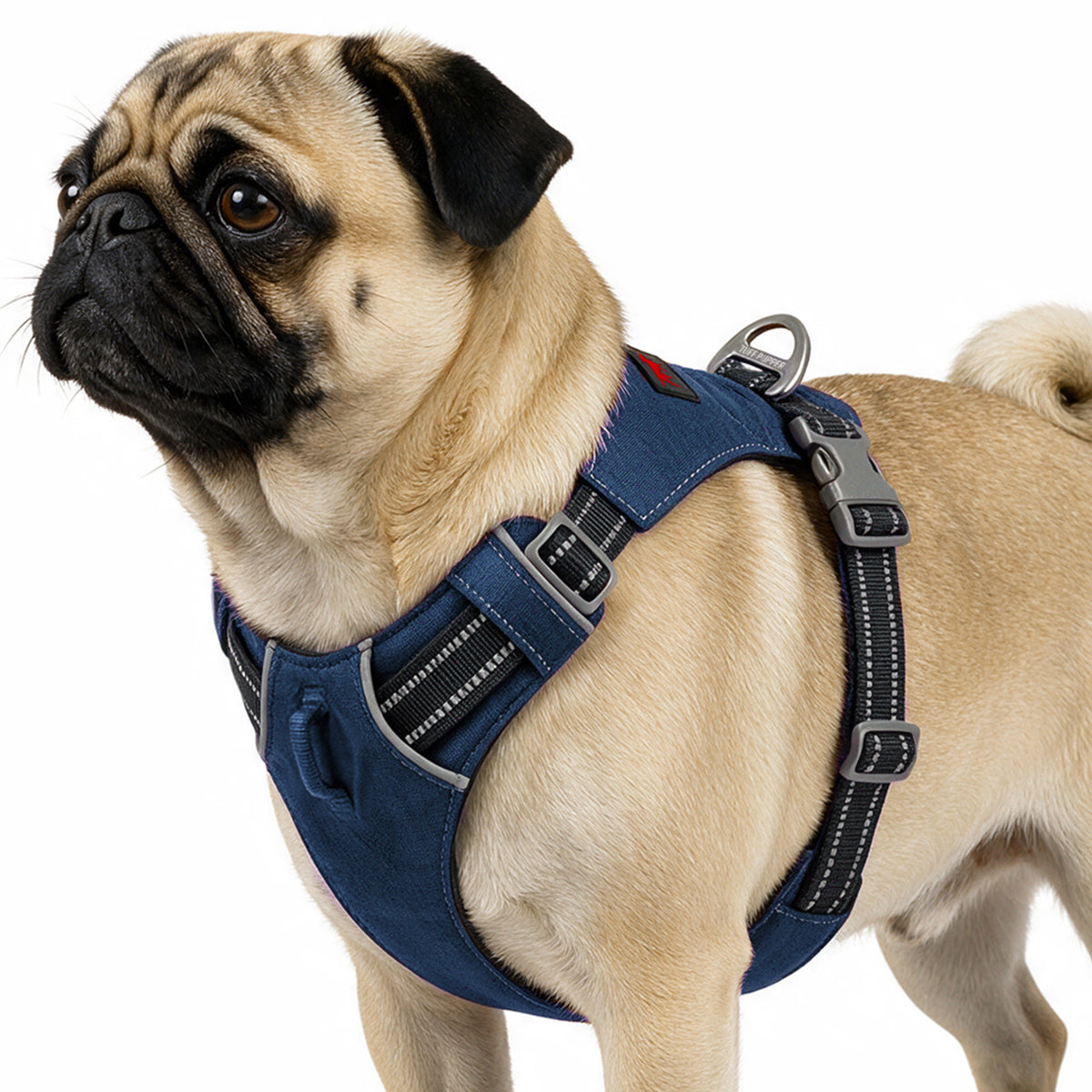 Trailblaze Lite Waterproof Harness in Twilight Blue, size Small
