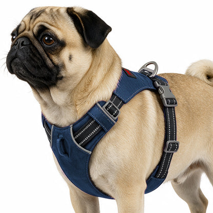 Trailblaze Lite Waterproof Harness in Twilight Blue, size Small