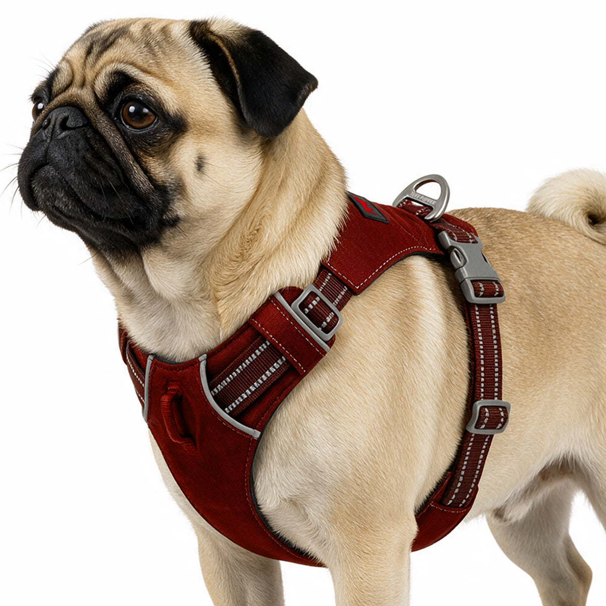 Trailblaze Lite Waterproof Harness in Crimson Red, size Small
