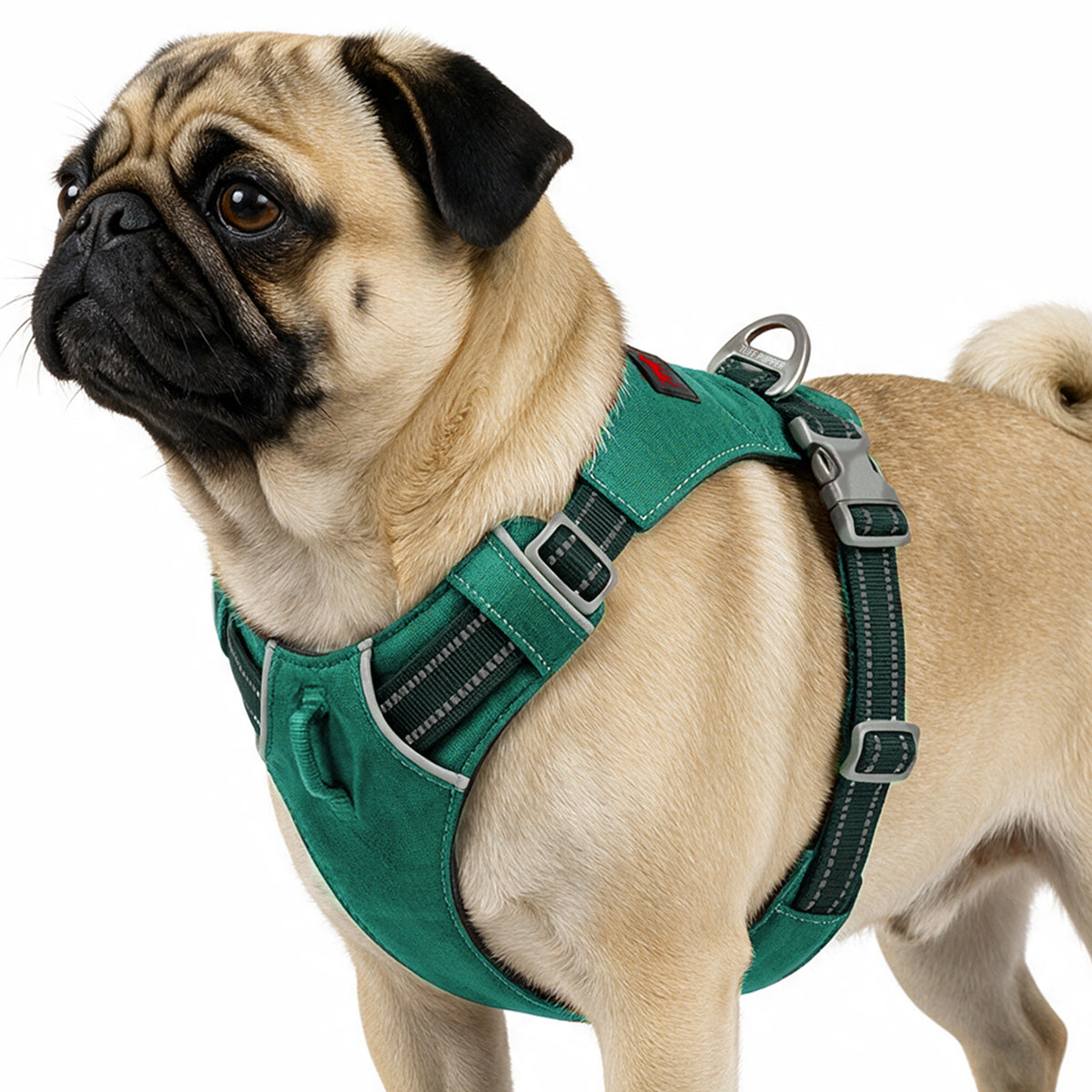 Trailblaze Lite Waterproof Harness in Tropical Teal, size Small