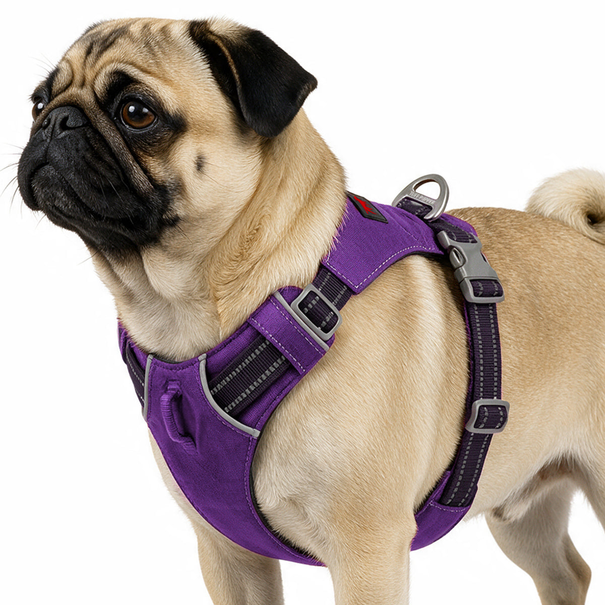 Trailblaze Lite Waterproof Harness in Deep Purple, size Small