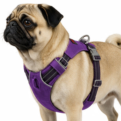 Trailblaze Lite Waterproof Harness in Deep Purple, size Small