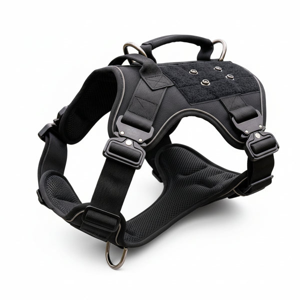 Tactical dog harness with MOLLE panels and dual lift handles