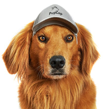 PupCap - Dog Hat