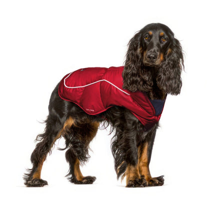 Cocker Spaniel in a Red Ultra Warm Dog Coat, size Medium, with a 3M reflective strip