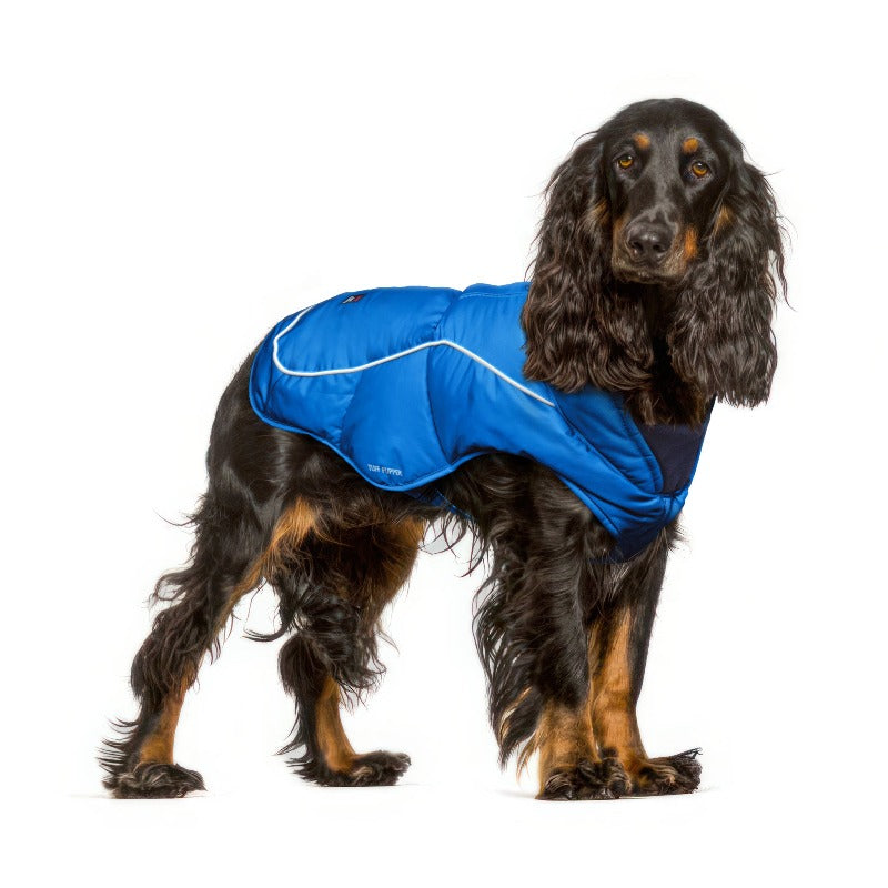 Heavy duty dog coat best sale