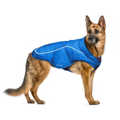 German Shepherd in a Blue Ultra Warm Dog Coat, size X-Large, with a 3M reflective strip