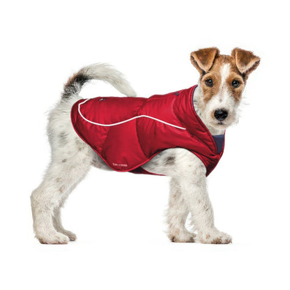 Terrier in a Red Ultra Warm Dog Coat, size X-Small, with a 3M reflective strip