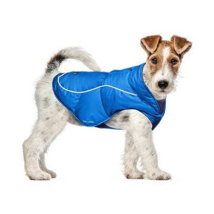 Terrier in a Blue Ultra Warm Dog Coat, size X-Small, with a 3M reflective strip