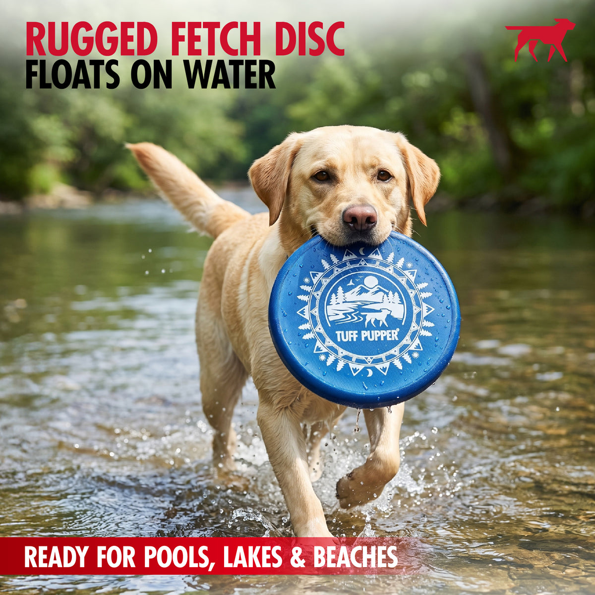 Rugged - Fetch Disc