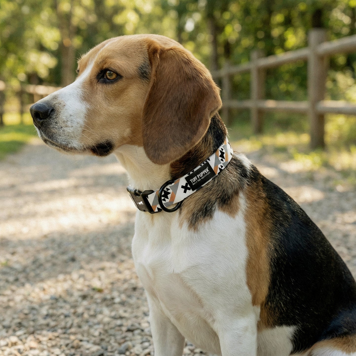 Native Path - Pattern Collar