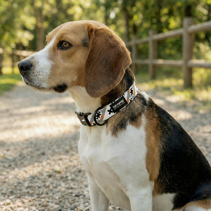 Native Path - Pattern Collar