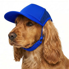 PupCap - Dog Hat