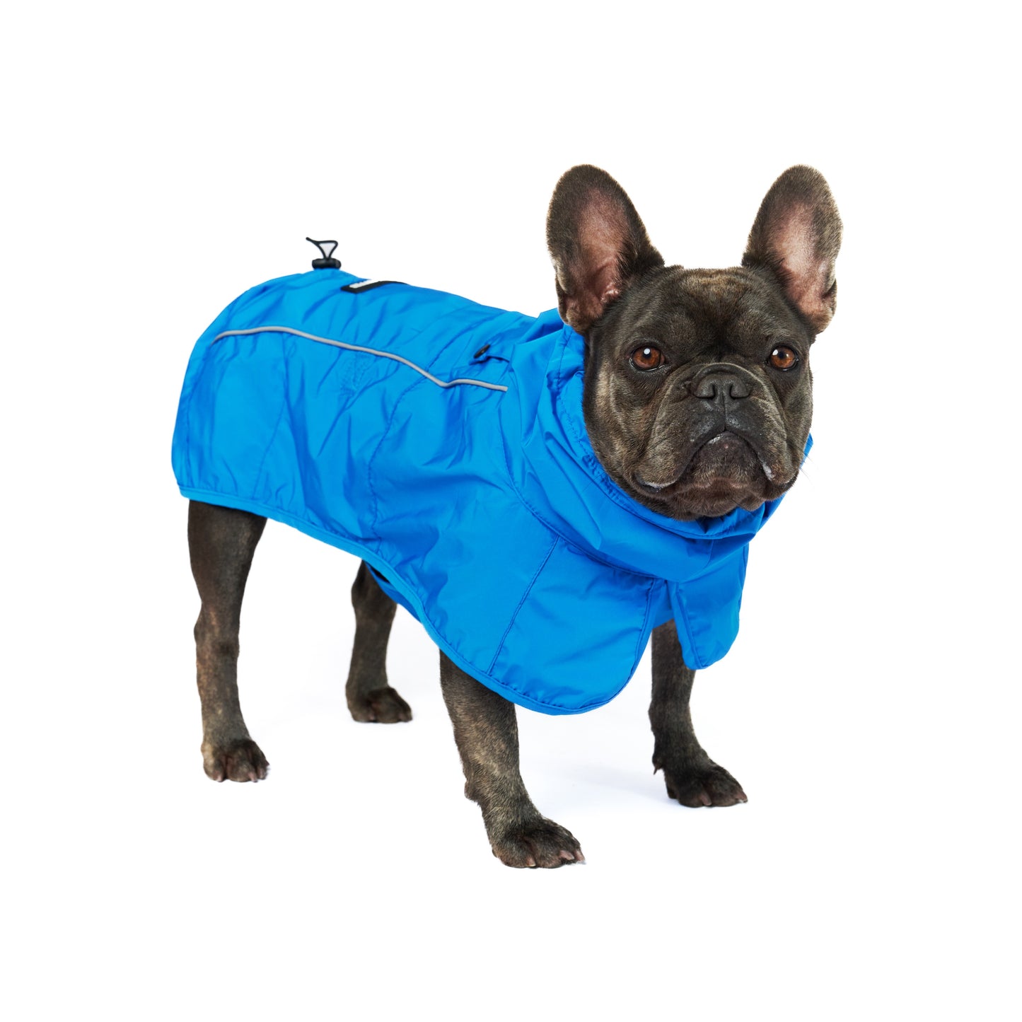 Full Body Waterproof - Dog Raincoat