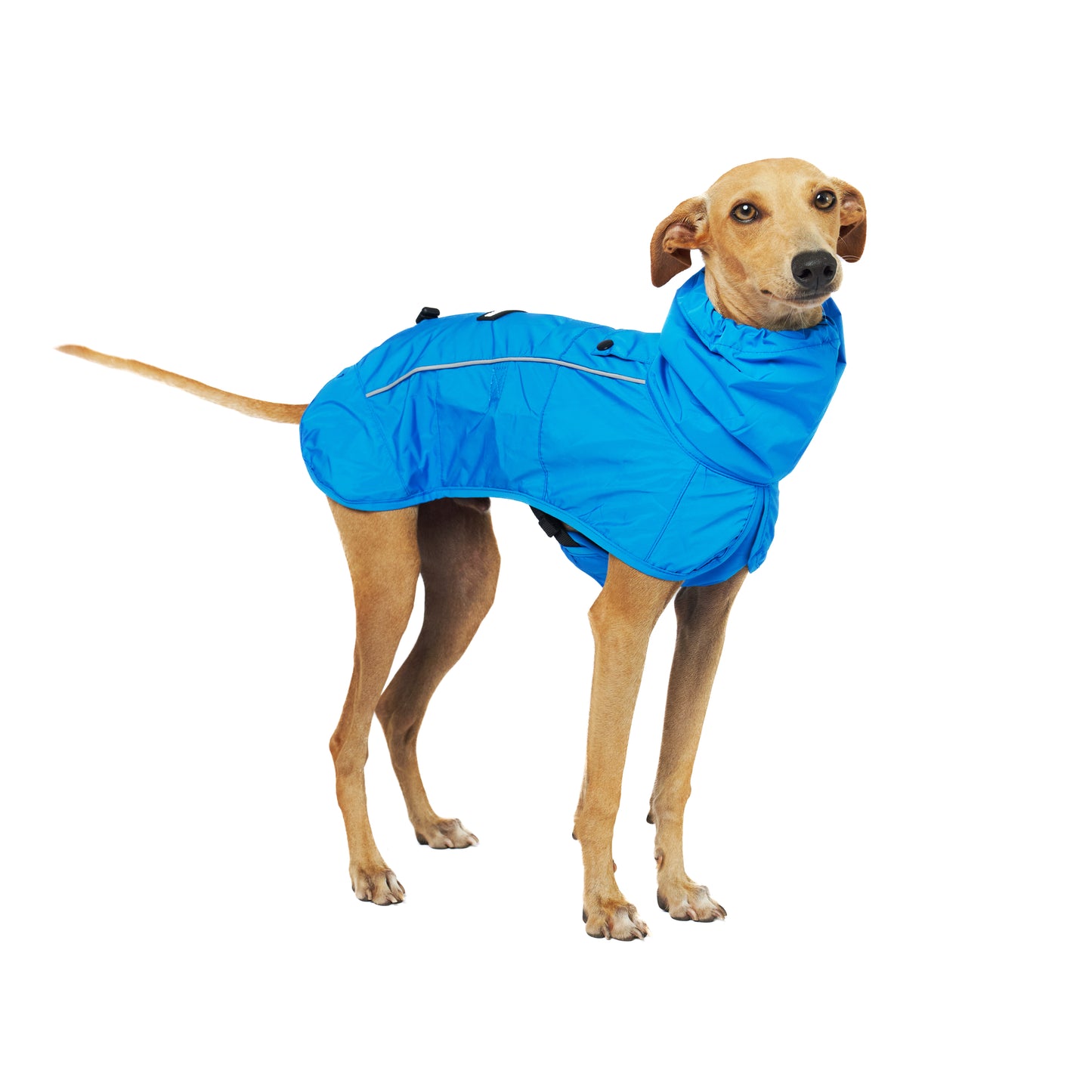 Full Body Waterproof - Dog Raincoat