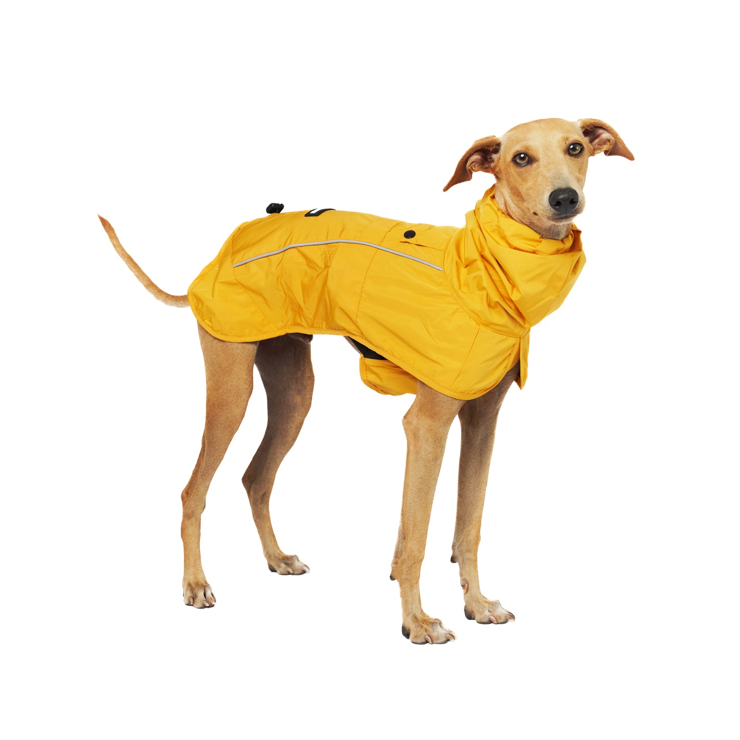 Full Body Waterproof - Dog Raincoat