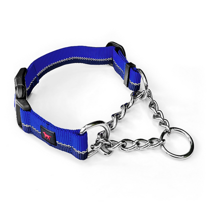 Tuff Pupper - Reaction - Martingale Collar - Blazing Blue