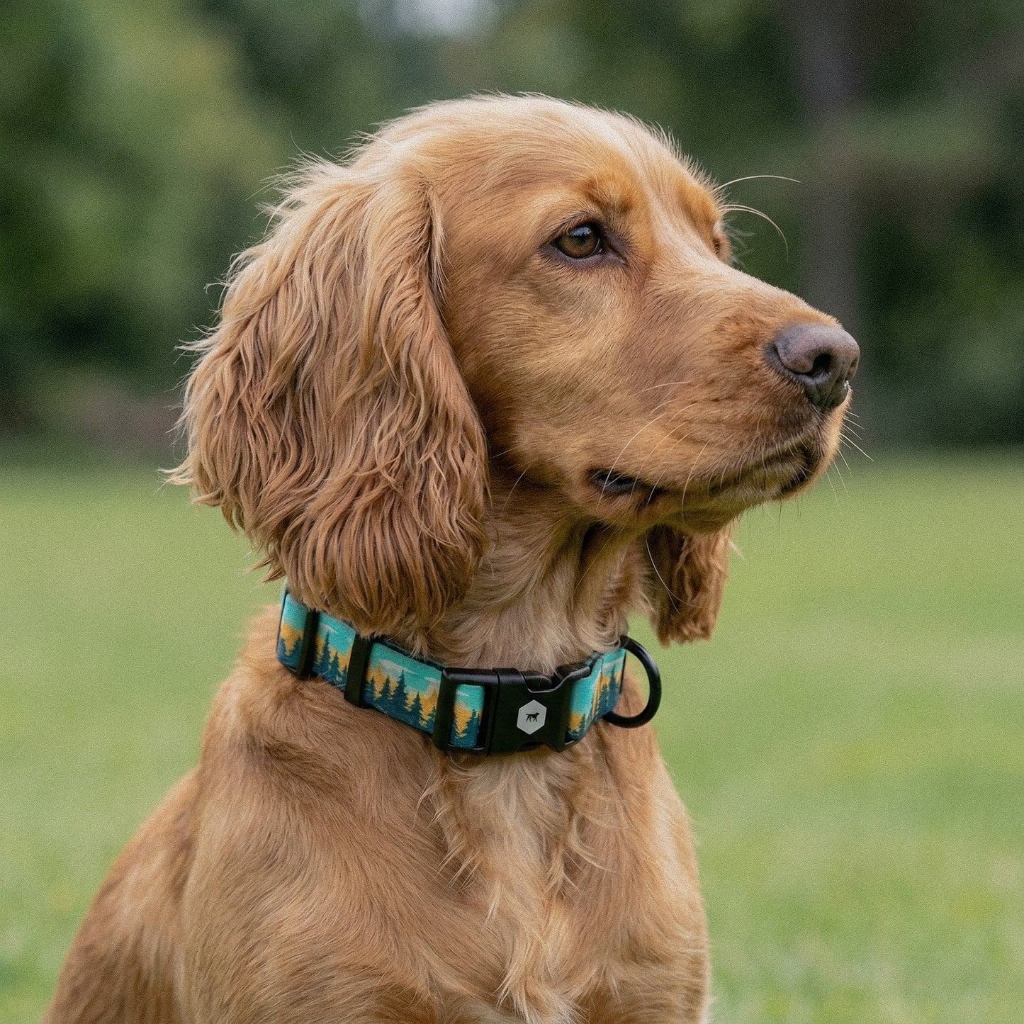Rustic Pine - Pattern Collar