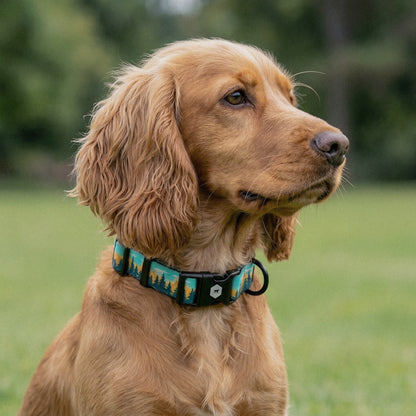 Rustic Pine - Pattern Collar
