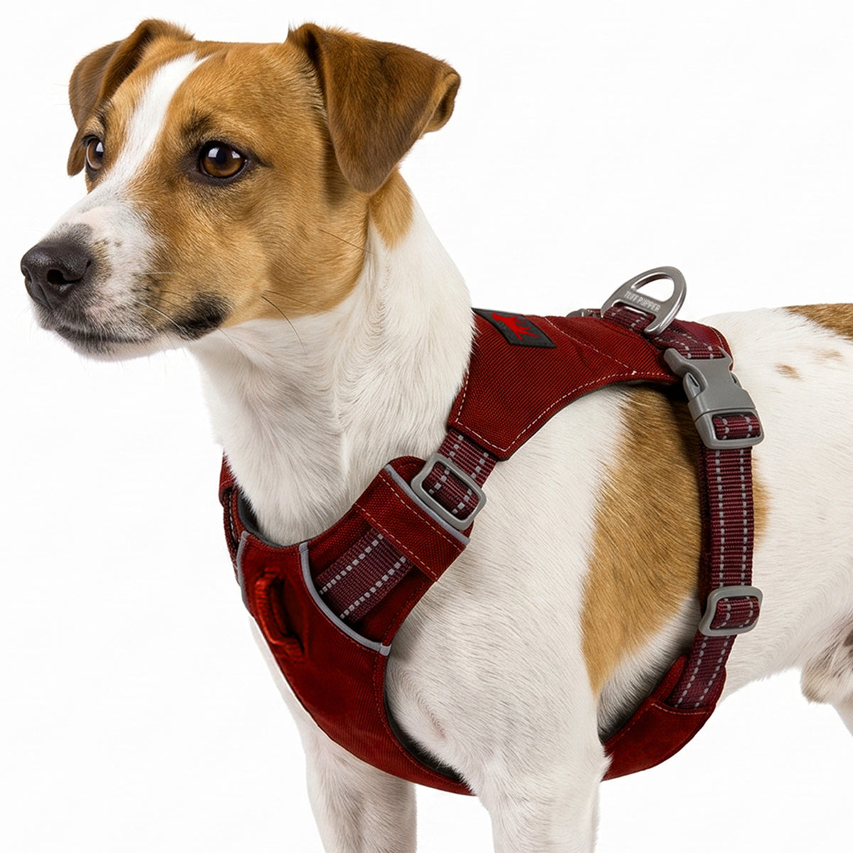 Trailblaze Lite Waterproof Harness in Crimson Red, size X-Small