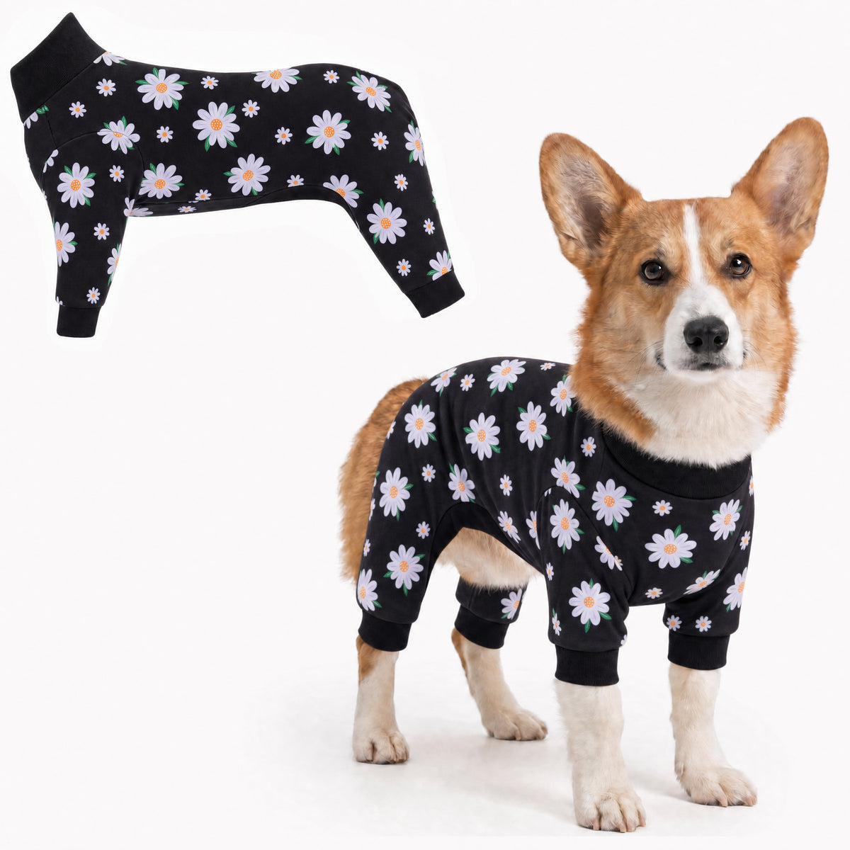 Dog wearing Daisy Bloom Comfort Pajamas, size Small, full body coverage from chest to legs