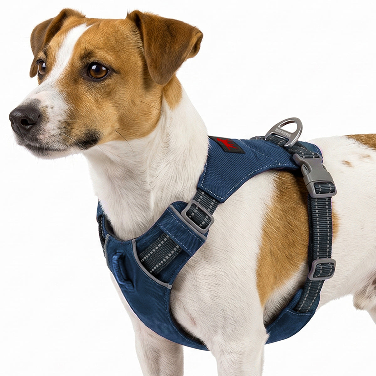 Trailblaze Lite Waterproof Harness in Twilight Blue, size X-Small