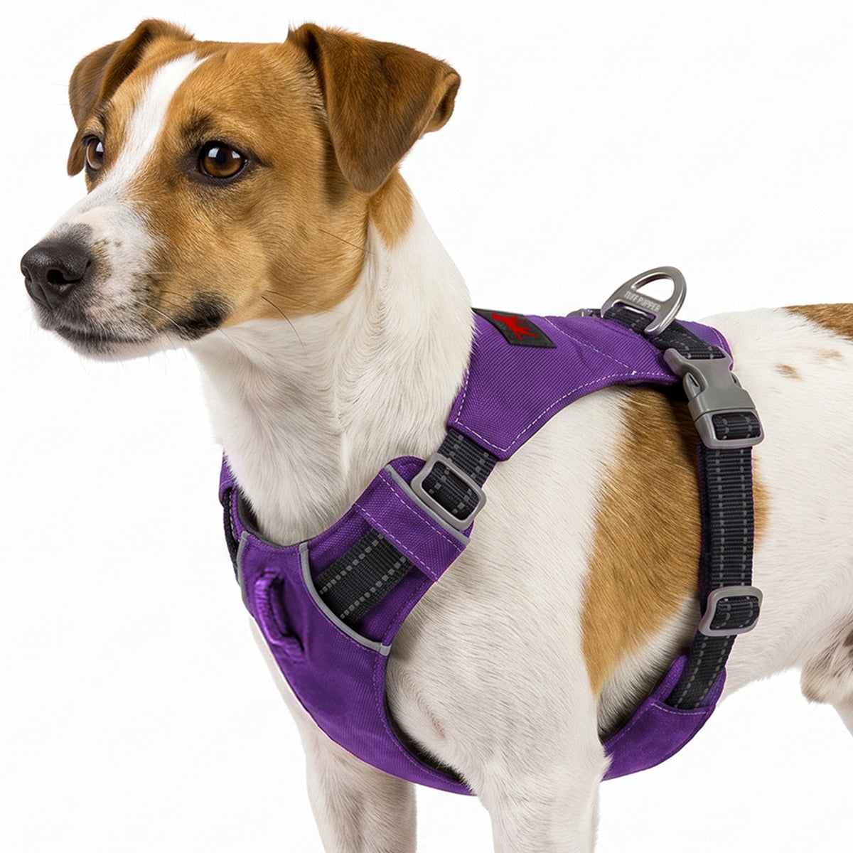 Trailblaze Lite Waterproof Harness in Deep Purple, size X-Small