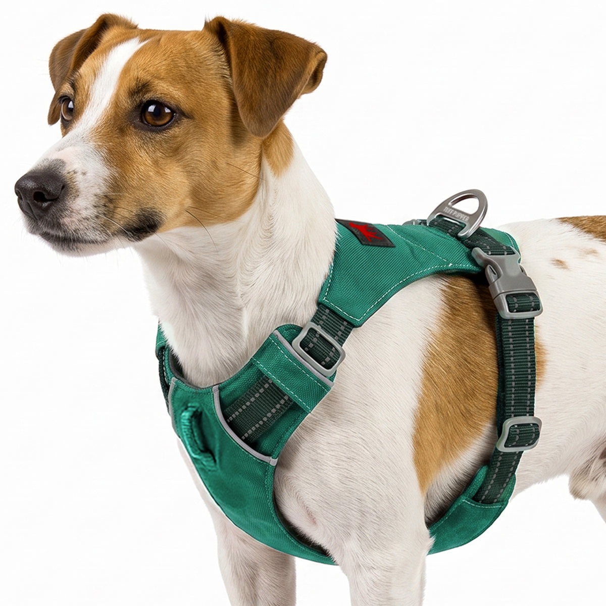 Trailblaze Lite Waterproof Harness in Tropical Teal, size X-Small