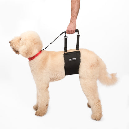 Hip Lifting - Sling Harness