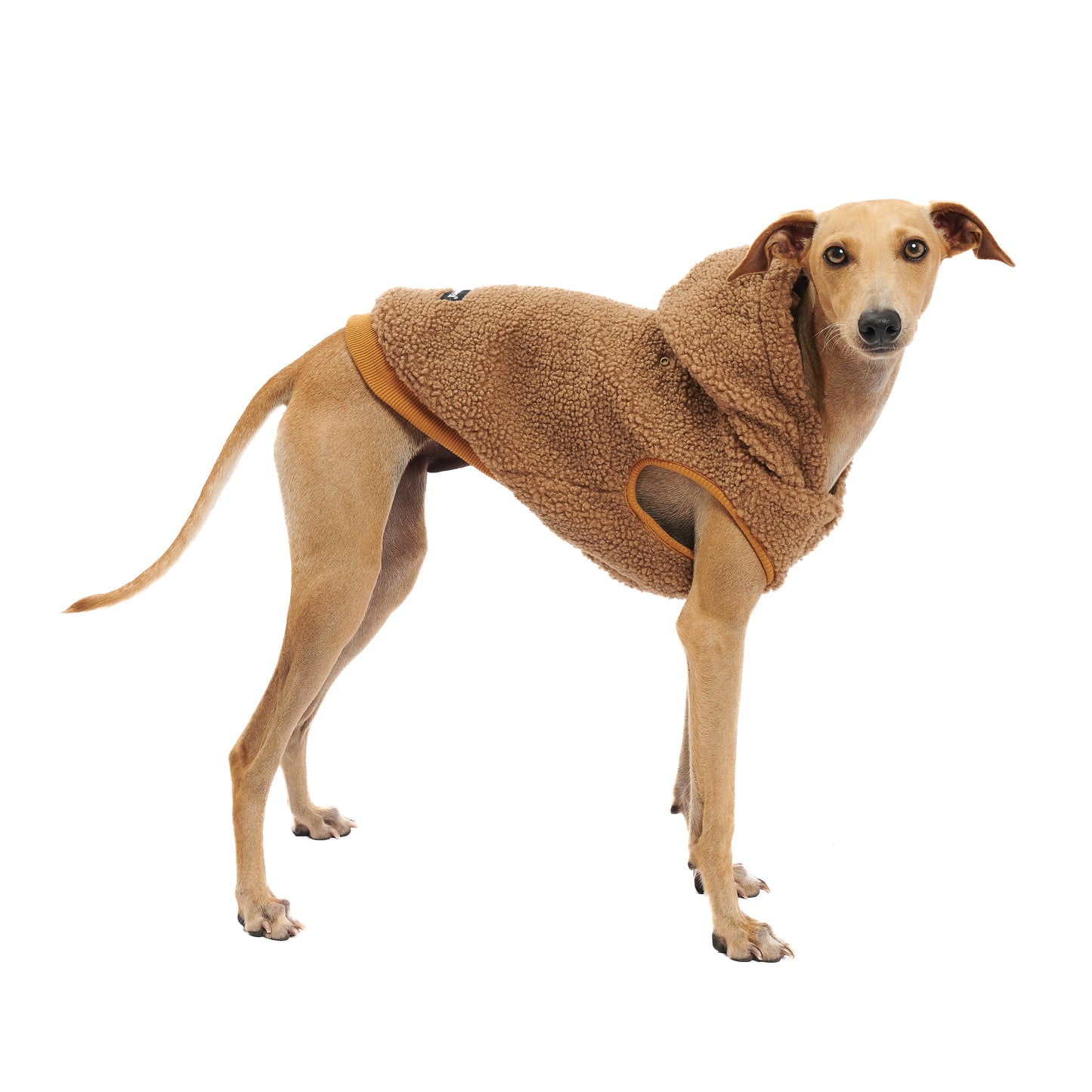 Fleece Sweater - Dog Hoodie