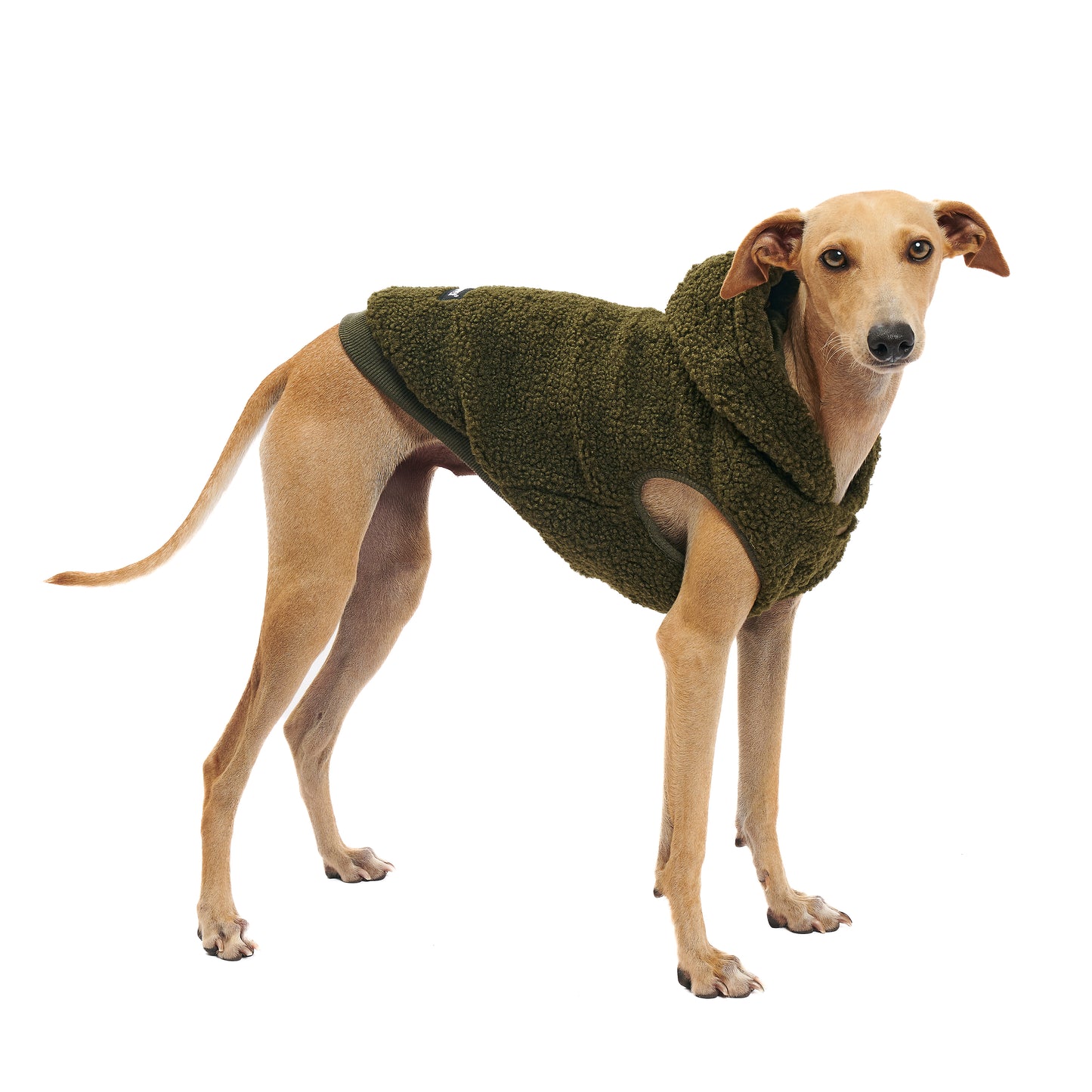 Fleece Sweater - Dog Hoodie