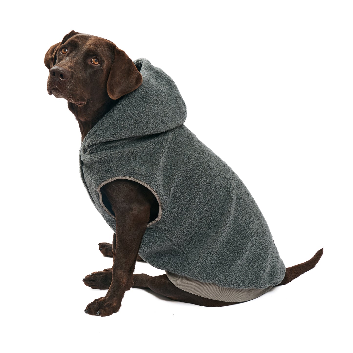 Fleece Sweater - Dog Hoodie