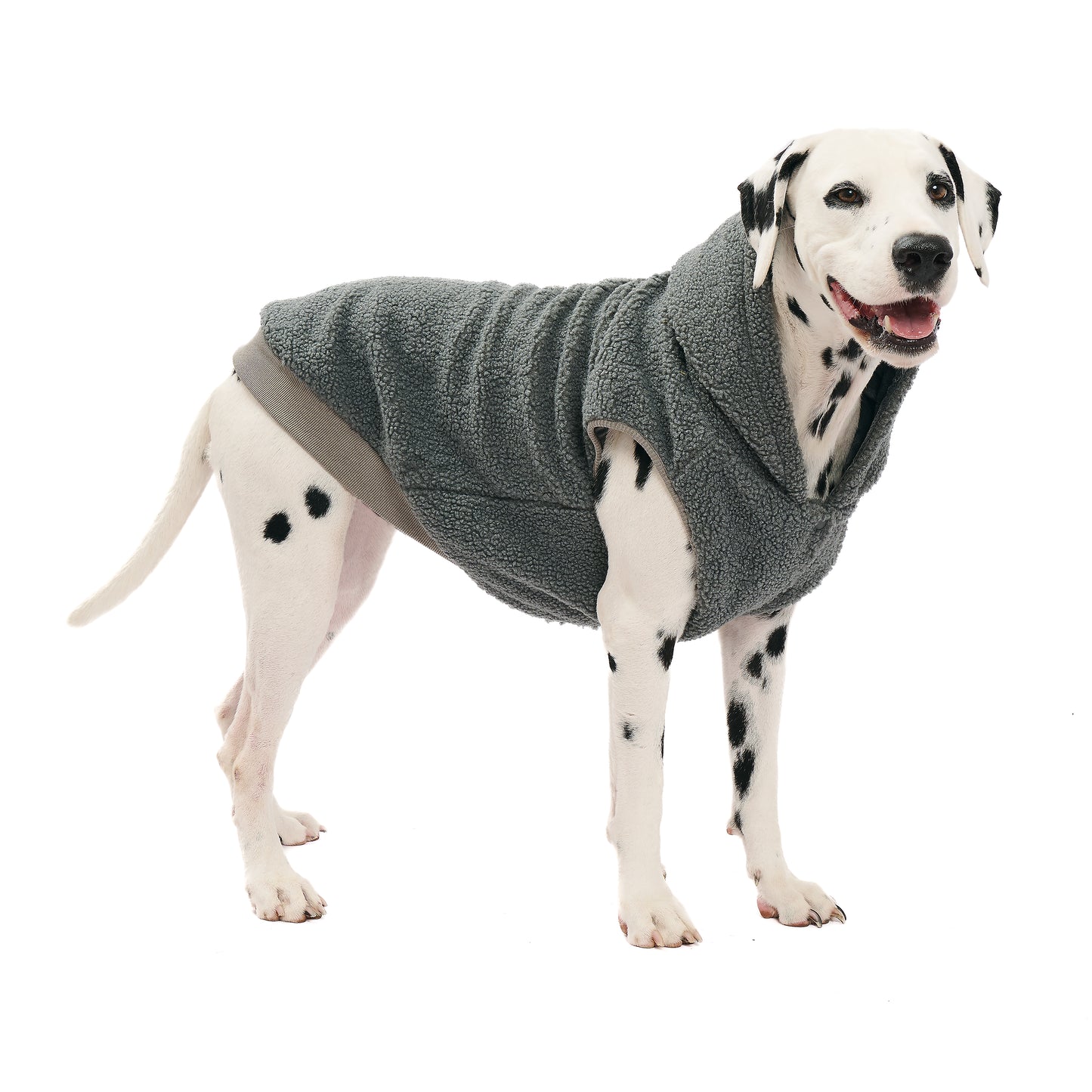 Fleece Sweater - Dog Hoodie