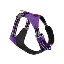 Trailblaze Lite - Waterproof Harness