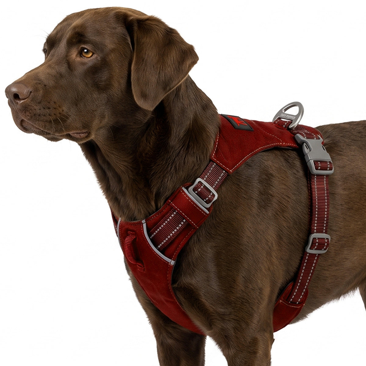 Trailblaze Lite Waterproof Harness in Crimson Red, size Large/X-Large