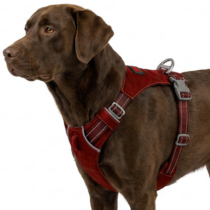 Trailblaze Lite Waterproof Harness in Crimson Red, size Large/X-Large