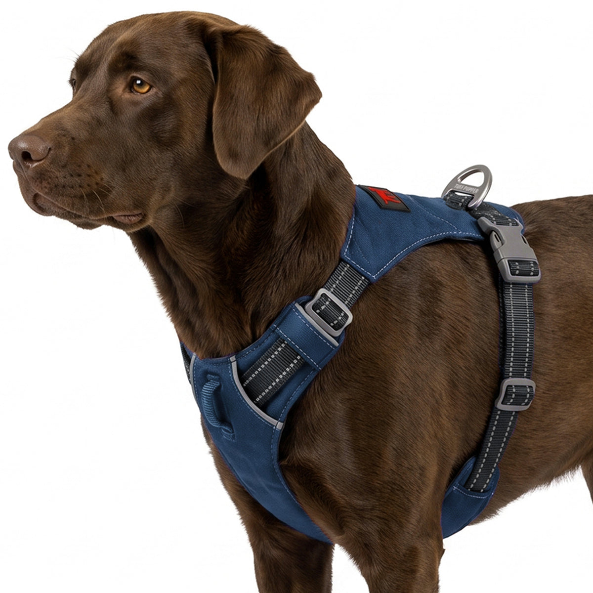 Trailblaze Lite Waterproof Harness in Twilight Blue, size Large/X-Large