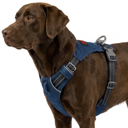Trailblaze Lite Waterproof Harness in Twilight Blue, size Large/X-Large