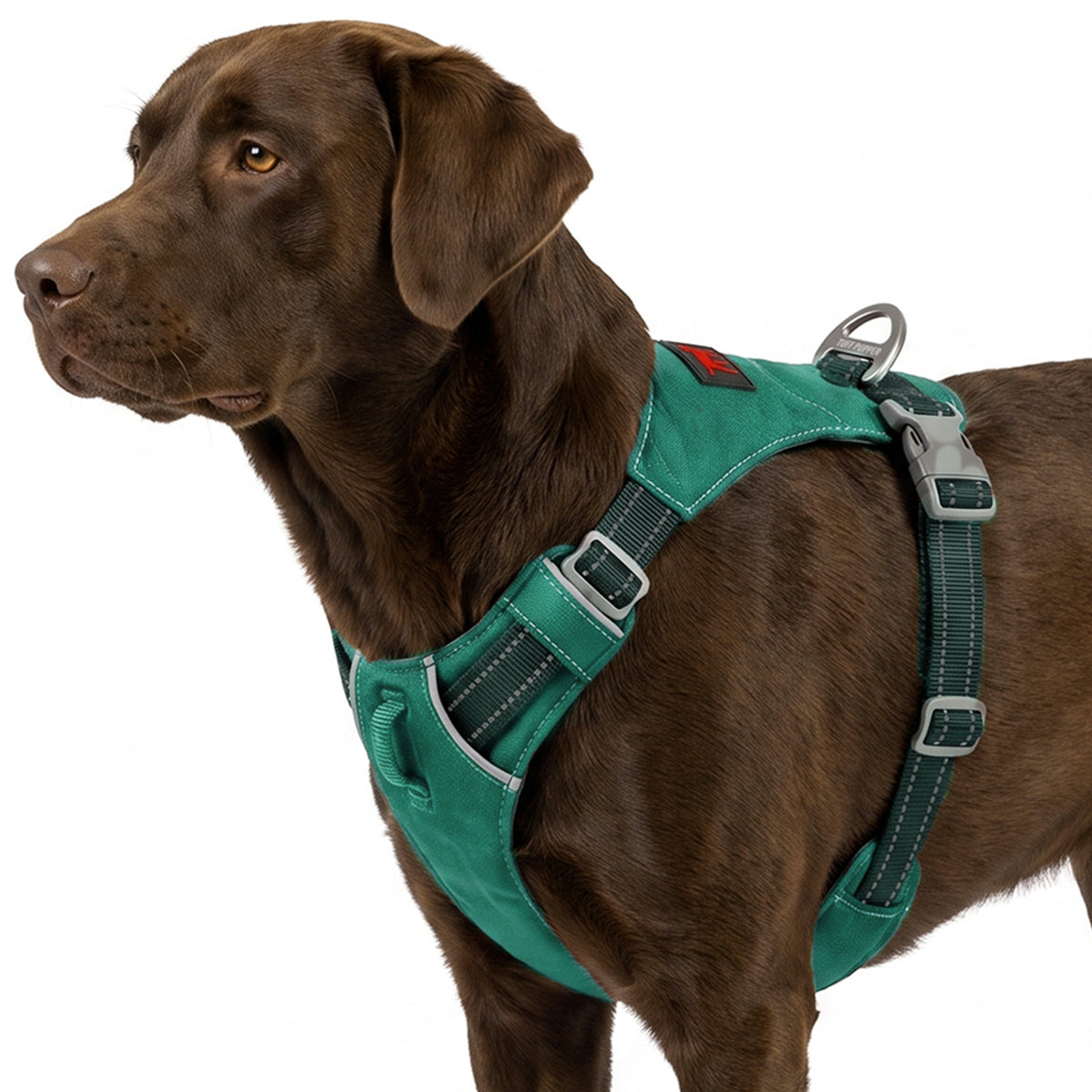 Trailblaze Lite Waterproof Harness in Tropical Teal, size Large/X-Large