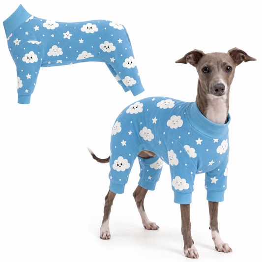 Dog wearing Cloudy Days Comfort Pajamas, size X-Small, full body coverage from chest to legs