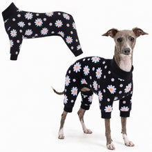 Dog wearing Daisy Bloom Comfort Pajamas, size X-Small, full body coverage from chest to legs