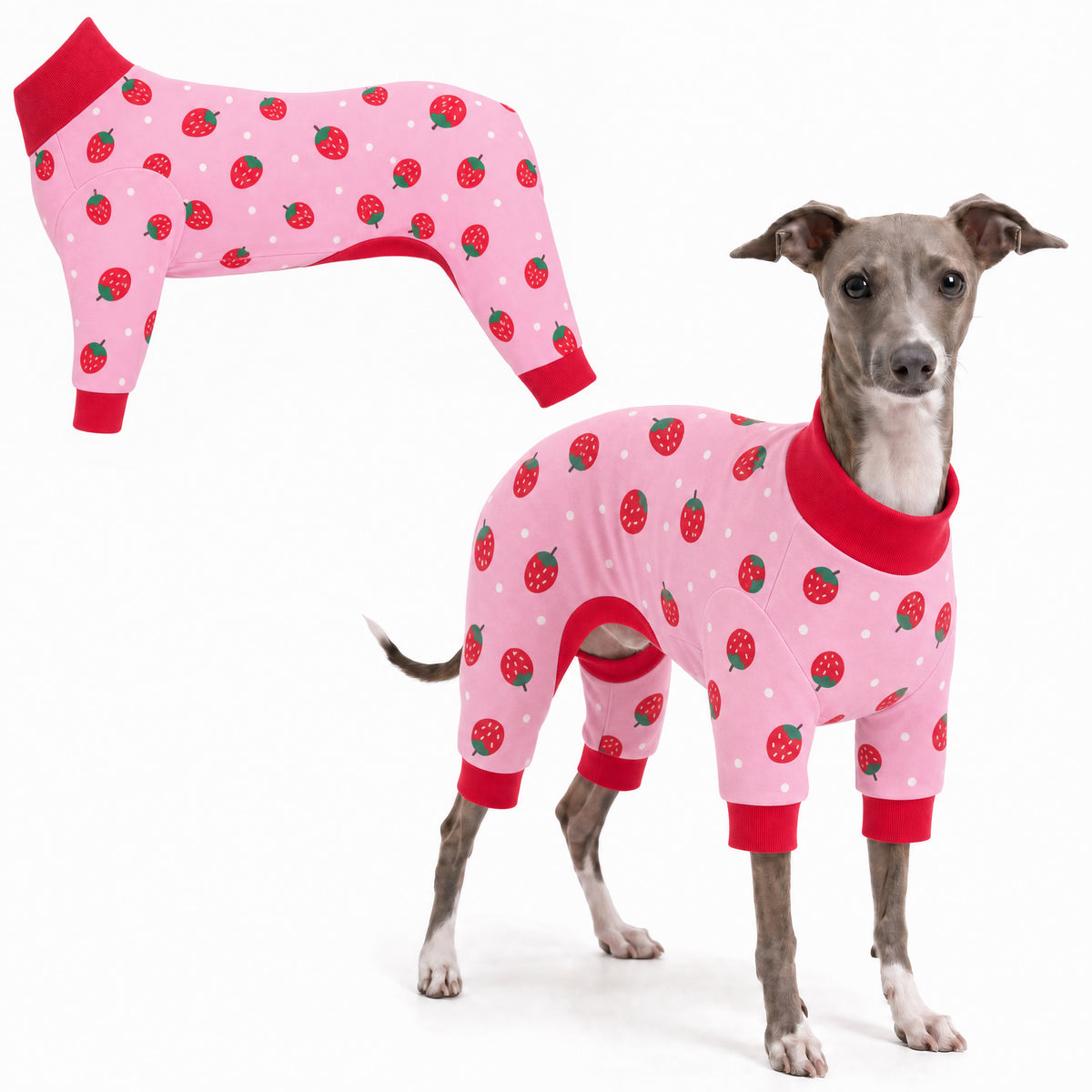 Dog wearing Strawberry Pop Comfort Pajamas, size X-Small, full body coverage from chest to legs