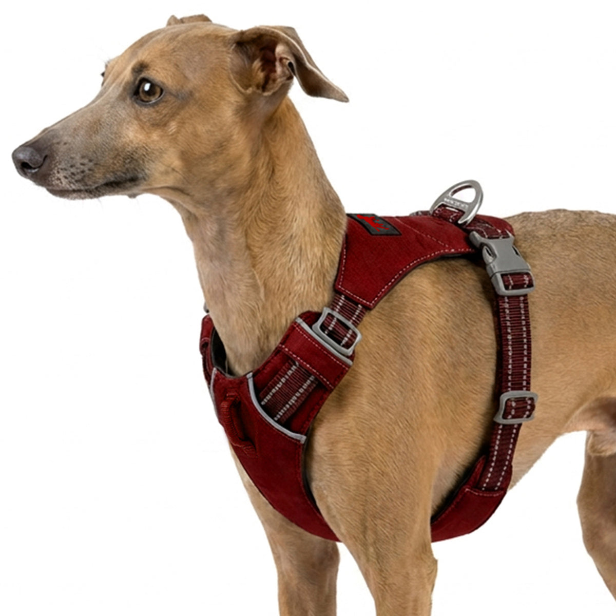 Trailblaze Lite Waterproof Harness in Crimson Red, size XX-Small